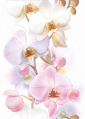 картинка Декор Tropicana Orchids TC2M051DT 25х35 от магазина Фристайл