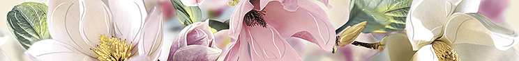 картинка Бордюр Boho Magnolia 7,5x63 от магазина Фристайл