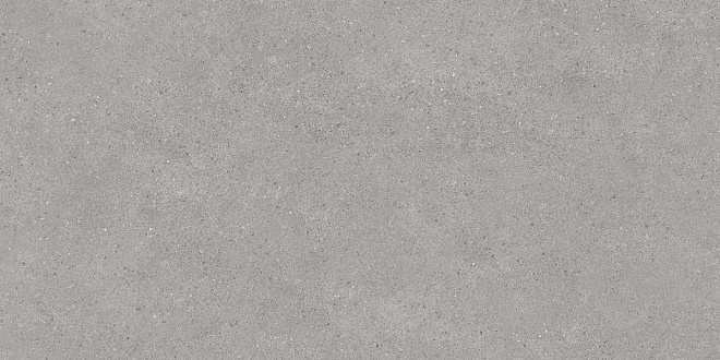картинка DL500800R	Фондамента серый светлый обрезной от магазина Фристайл